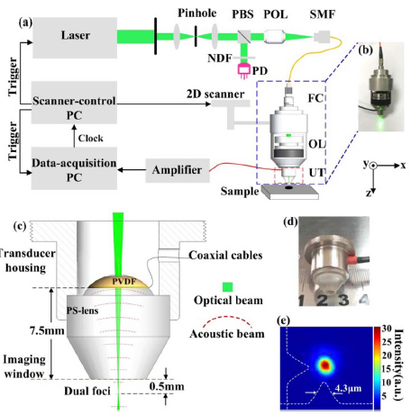Photoacoustic confocal dermoscope with a waterless coupling and impedance matching opto-sono probe