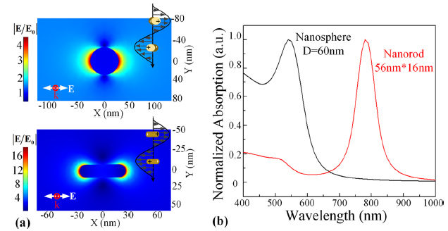 Quantifying the plasmonic nanoparticle size effect on photoacoustic conversion efficiency