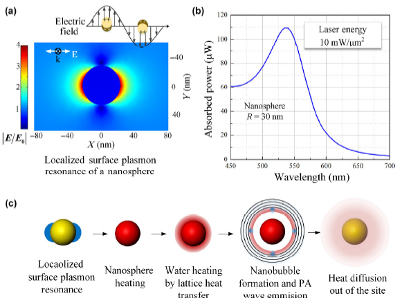 New insight into photoacoustic conversion efficiency by plasmon-mediated nanocaviataion: implications for precision theranostics