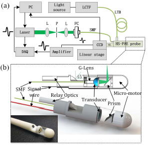 Photoacoustic and hyperspectral dual-modality endoscope