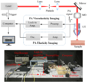 Quantitative photoacoustic elasticity and viscosity imaging for cirrhosis detection