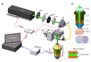 Fast linear confocal scanning photoacoustic dermoscopy for non-invasive assessment of chromatodermatosis