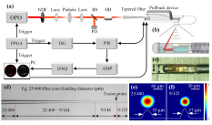 Tapered fiber-based intravascular photoacoustic endoscopy for high-resolution and deep-penetration imaging of lipid-rich plaque