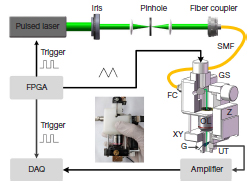 Miniaturized photoacoustic probe for in vivo imaging of subcutaneous microvessels within human skin