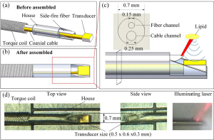 Ultrafine intravascular photoacoustic endoscope with a 0.7 mm diameter probe