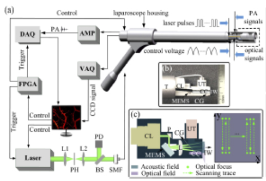 Electrothermal-MEMS-induced nonlinear distortion correction in photoacoustic laparoscopy