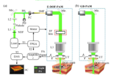 In vivo volumetric monitoring of revascularization of traumatized skin using extended depth-of-field photoacoustic microscopy