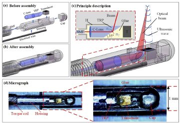 High-robustness intravascular photoacoustic endoscope with a hermetically sealed opto-sono capsule