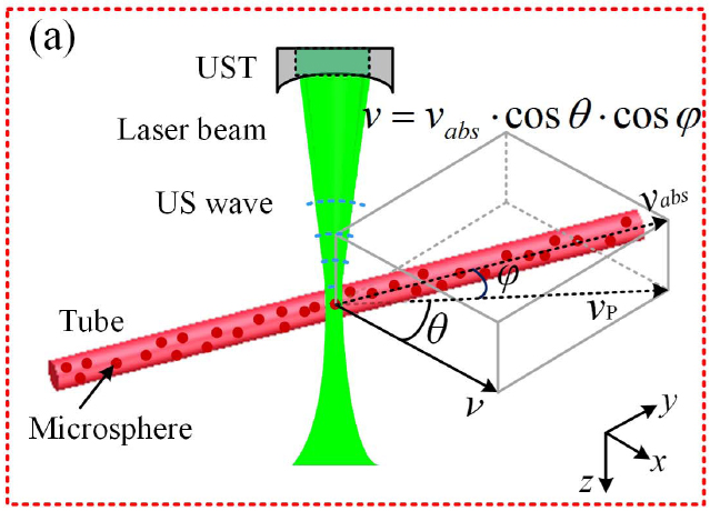 Tomography-assisted Doppler photoacoustic microscopy: proof of concept