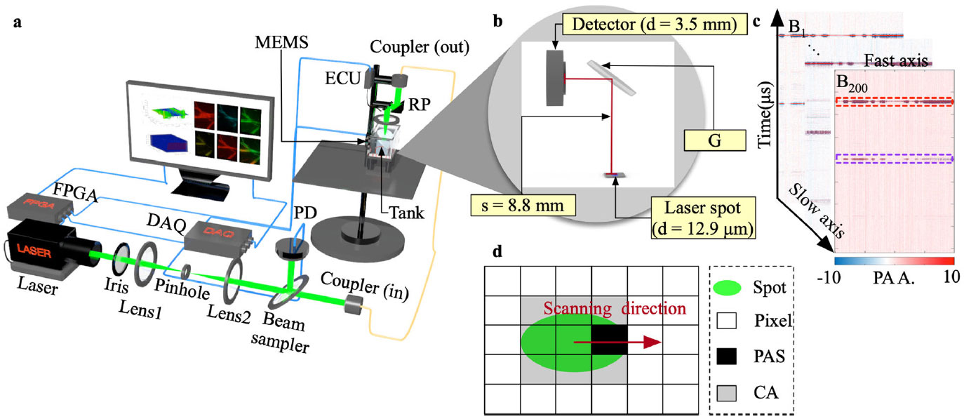 Spatial weight matrix in dimensionality reduction reconstruction for microelectromechanical system-based photoacoustic microscopy