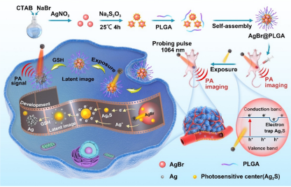 Ultrahigh Sensitive and Tumor-Specific Photoacoustography in NIR-II Region: Optical Writing and Redox-Responsive Graphic Fixing by AgBr@PLGA Nanocrystals