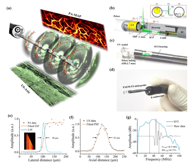 High-fluence relay-based disposable photoacoustic-ultrasonic endoscopy for in vivo anatomical imaging of gastrointestinal tract