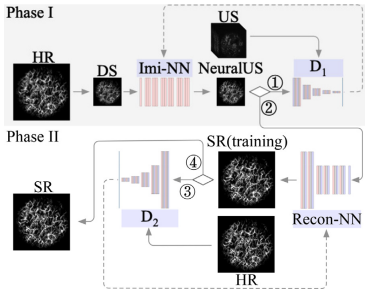 Cascade neural approximating for few-shot super-resolution photoacoustic angiography