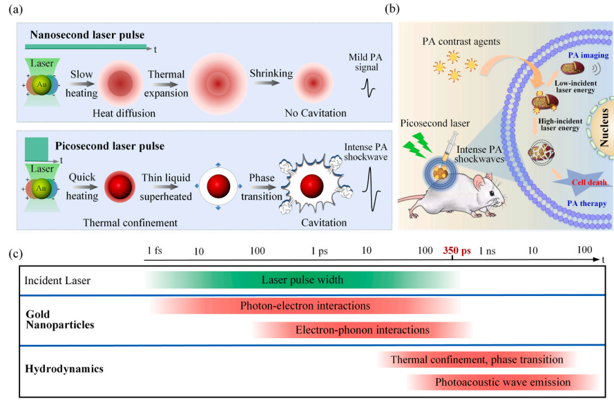 Ultrafast photoacoustic cavitation pumped by picosecond laser for high-efficient and long-term shockwave theranostics