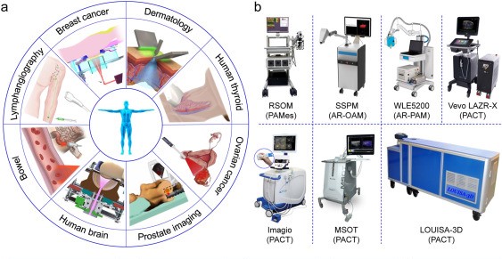 Towards in vivo photoacoustic human imaging: Shining a new light on clinical diagnostics