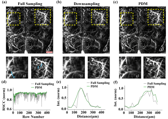Parallel diffusion models promote high detail-fidelity photoacoustic microscopy in sparse sampling